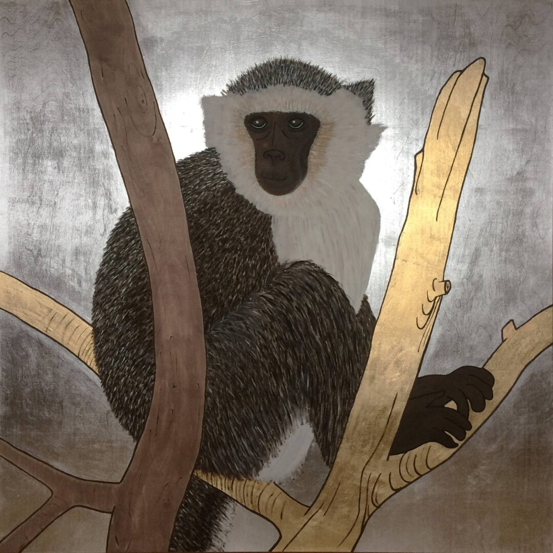 Małpa-Skałpa Switu-Pitu