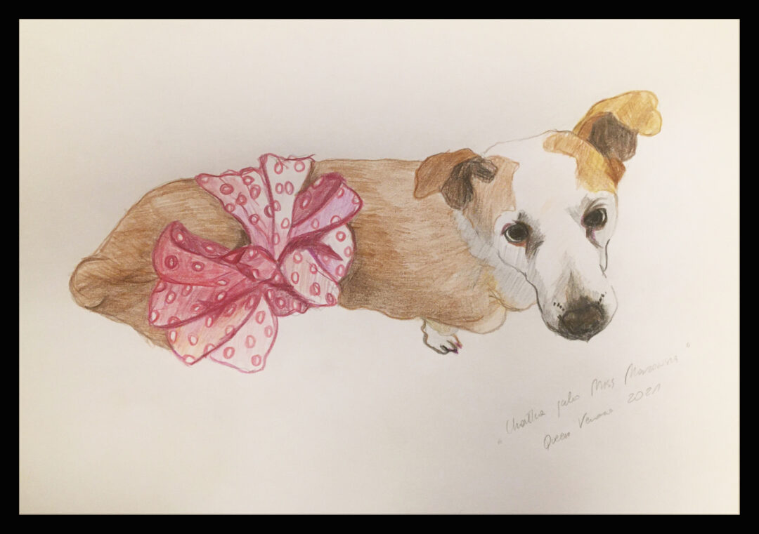 Chałka Jako Miss Mazowsza