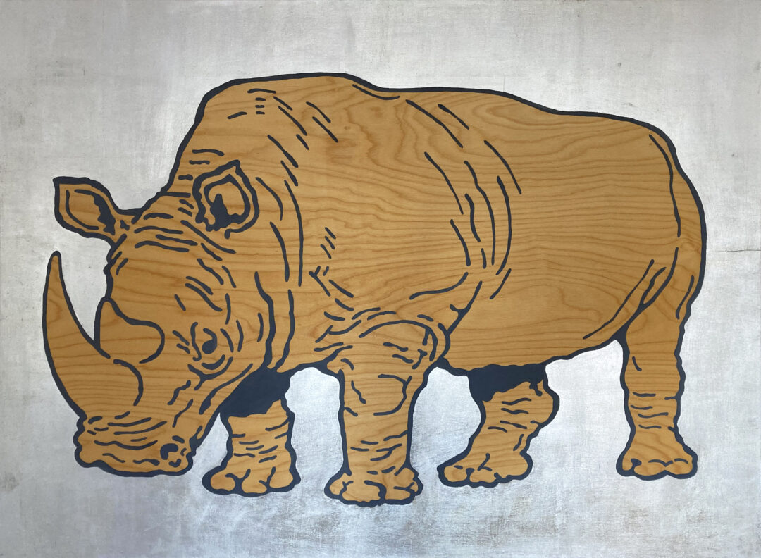 Nosorożec | nie oceniaj książki po okładce