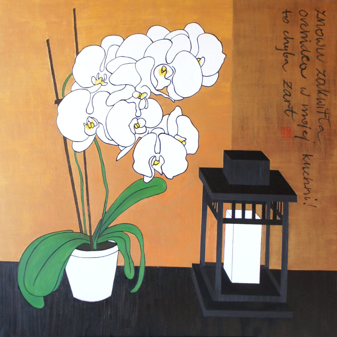 Orchidea W Mojej Kuchni