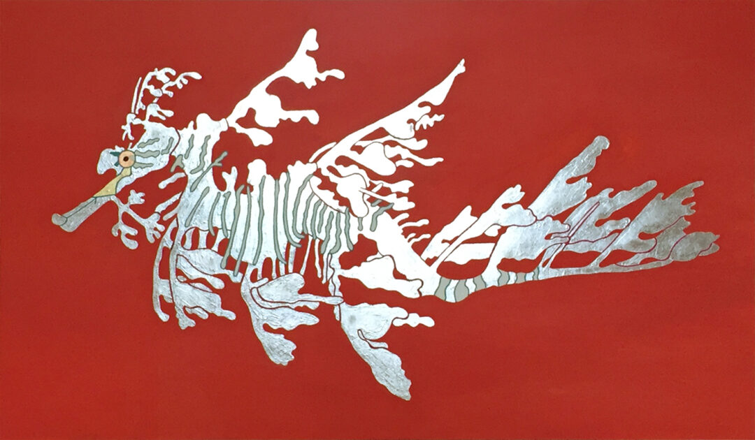 Pławikonik Australijski_srebro