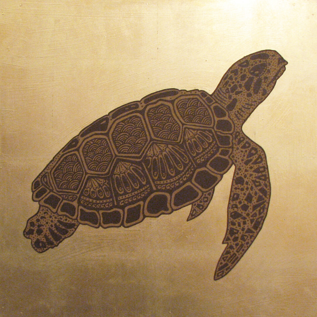 żółw morski | wprawka