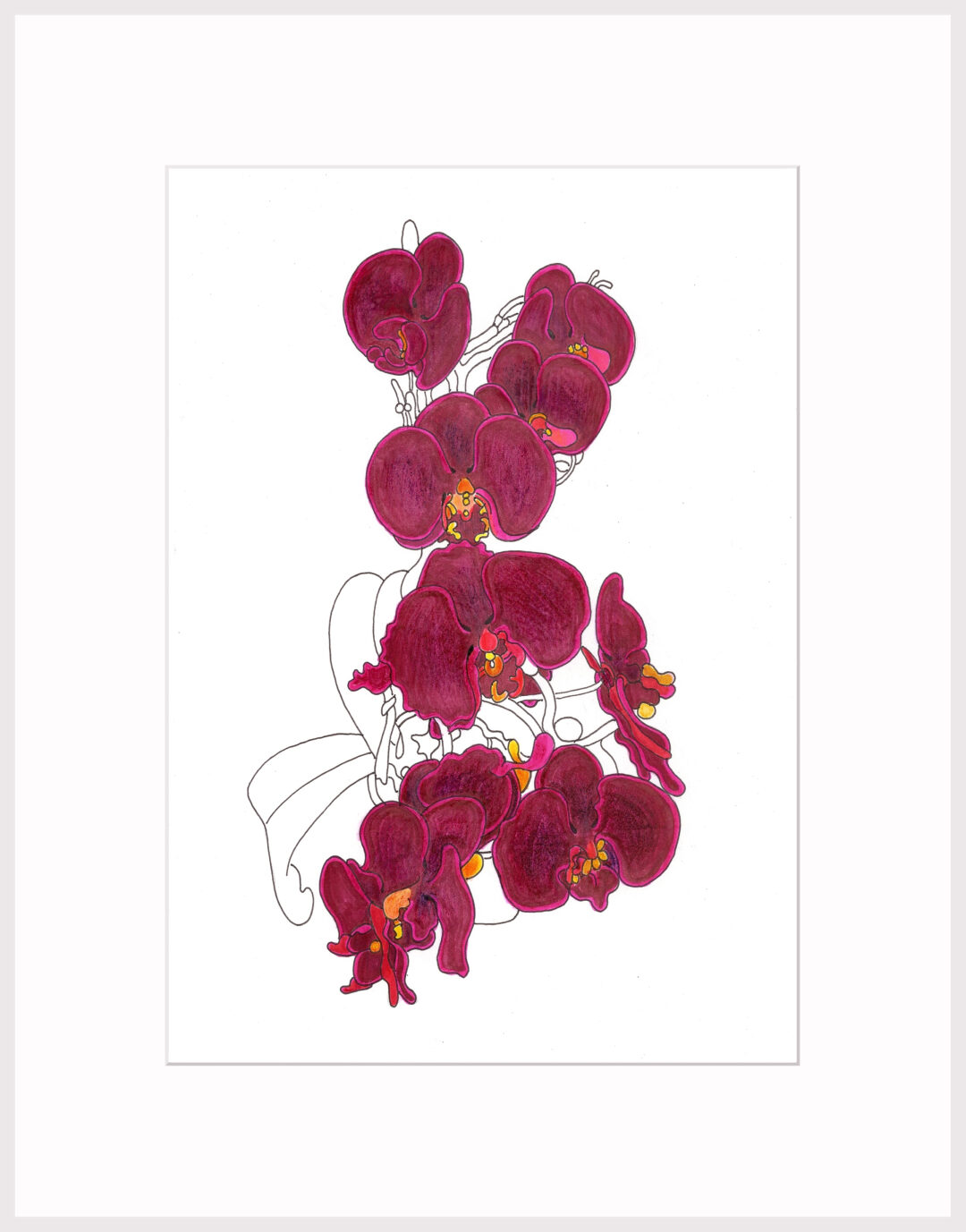 Orchidea Menstruacyjna 2024